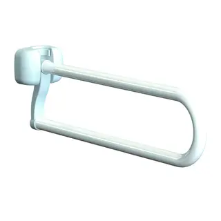 Flip-Up Grab Bar